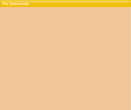 wp10231bad.png