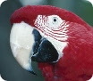 wp5e8c7716_0f.jpg